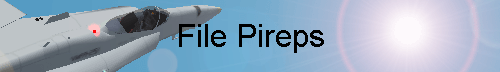 File Pireps